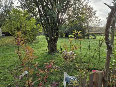 Jardin de l'établissement Yourte Castanea Insolite Val de Loire proche Langeais & Châteaux