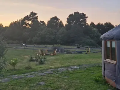 Jardin de l'établissement Yourte Castanea Insolite Val de Loire proche Langeais & Châteaux