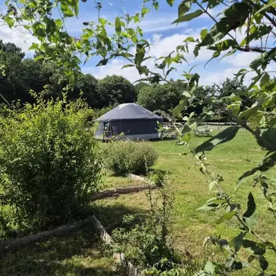 Yourte Castanea Insolite Val de Loire proche Langeais & Châteaux