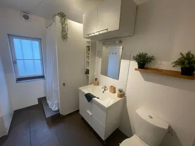 Cuisine ou kitchenette dans l'établissement La Jungle de Tours