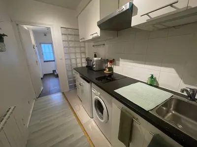 Cuisine ou kitchenette dans l'établissement La Jungle de Tours