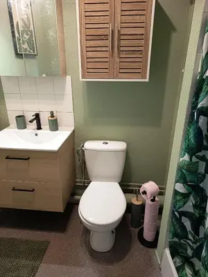Salle de bains dans l'établissement Grand Studio 4 couchages proche Université et CHU