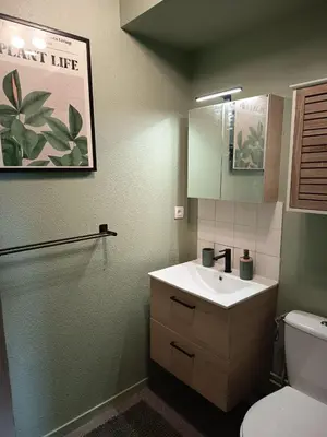 Salle de bains dans l'établissement Grand Studio 4 couchages proche Université et CHU