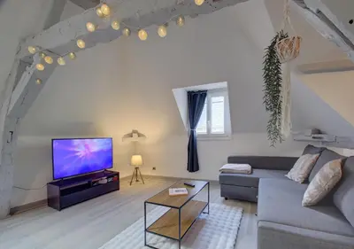 Télévision ou salle de divertissement dans l'établissement Cozy T2 - Quartier de Nantilly - Saumur