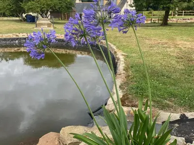 Jardin de l'établissement Gîte confortable à la campagne, 2 chambres, vue dégagée - FR-1-622-118