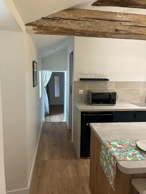 Cuisine ou kitchenette dans l'établissement Cozy one bedroom Apartment, Le Nest
