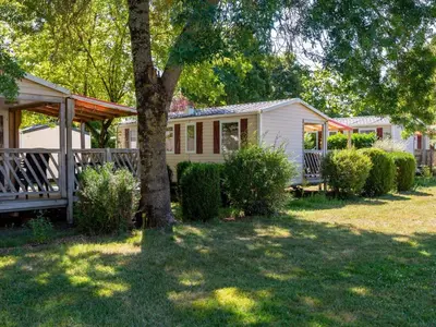 Jardin de l'établissement Mobil-home avec terrasse à Luynes - API-1-52-1072