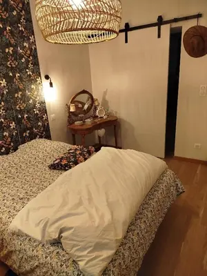 Un ou plusieurs lits dans un hébergement de l'établissement Grande chambre cosy avec salle de bain proche centre ville Le Mans