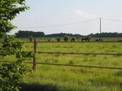 Paysage naturel près de la maison de vacances