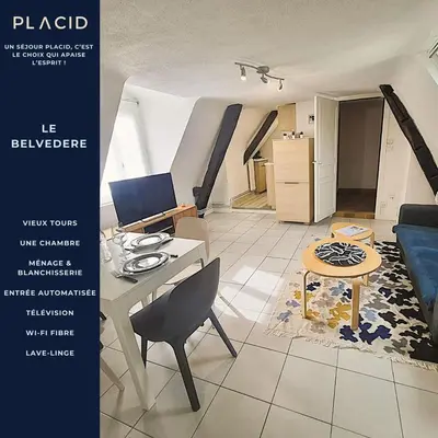 Plan de l'établissement Le belvédère - Vieux Tours - Wifi - Smart TV
