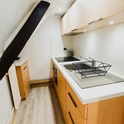 Cuisine ou kitchenette dans l'établissement Le belvédère - Vieux Tours - Wifi - Smart TV