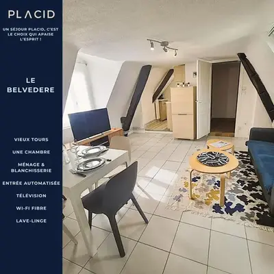 Le belvédère - Vieux Tours - Wifi - Smart TV