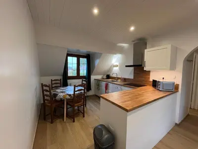 Cuisine ou kitchenette dans l'établissement Les Silex à 10 min de Beauval