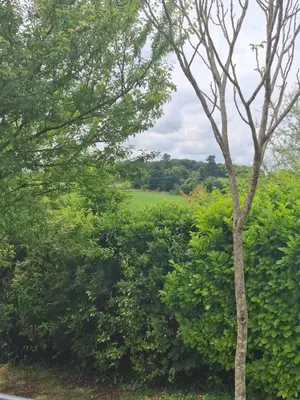 Paysage naturel près de la villa