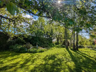 Jardin de l'établissement Chambres d'hôtes Anne, Marie Davaillon, Chambre Cerise