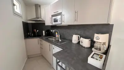 Cuisine ou kitchenette dans l'établissement Le Léonard 100 m Château d'Amboise-4p- 3 étoiles