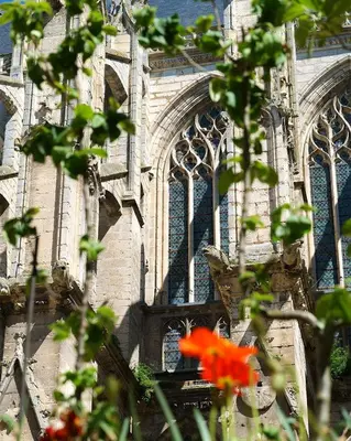 Jardin de l'établissement Le Pretty - T2 rénové vue château avec parking