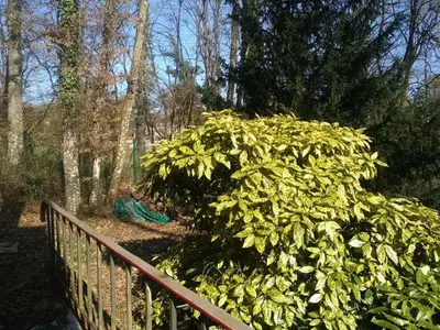Jardin de l'établissement La brocante