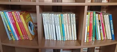 Bibliothèque dans la maison de vacances
