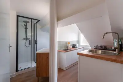 Cuisine ou kitchenette dans l'établissement Douceur de Loire Studio Cosy