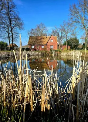 Paysage naturel près de la maison de vacances