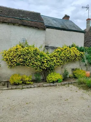 Jardin de l'établissement La dépendance