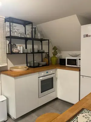 Cuisine ou kitchenette dans l'établissement L'Appartement Buffon - Coeur de Tours
