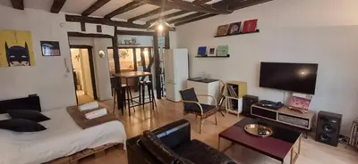 Télévision ou salle de divertissement dans l'établissement Studio équipé - Vieux Tours - Quartier des Halles