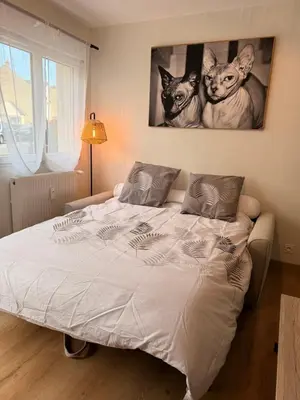 Un ou plusieurs lits dans un hébergement de l'établissement Appartement cosy au cœur du Mans Proche Centre-Ville
