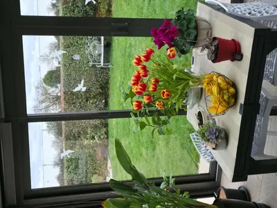 Jardin de l'établissement Chambre proche circuit 24h du mans