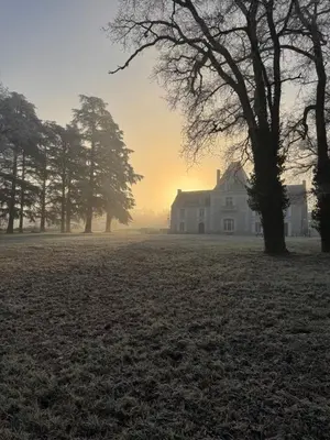 Lever ou coucher de soleil vu de la maison de vacances ou à proximité