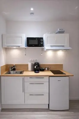 Cuisine ou kitchenette dans l'établissement Tiny House Marie