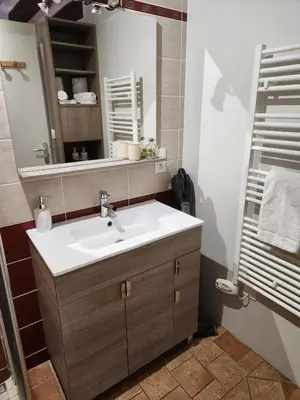 Salle de bains dans l'établissement Chambre d'hôte de charme dans logis du XVe
