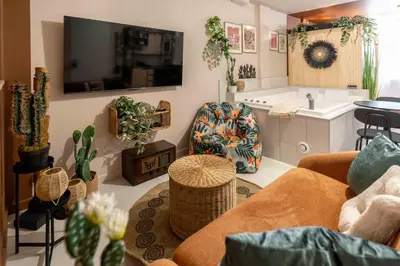 Télévision ou salle de divertissement dans l'établissement Murmures Cactus, Spa & Sauna à Blois