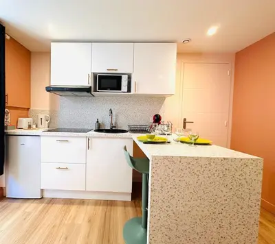 Cuisine ou kitchenette dans l'établissement Studio haut de gamme rénové Centre & Gare Wifi