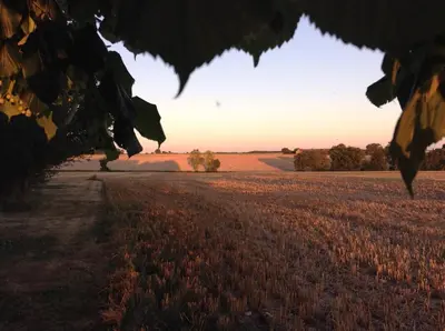 Paysage naturel près de la maison de vacances