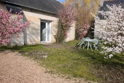 Jardin de l'établissement Domaine des Moizons, Le Laurier