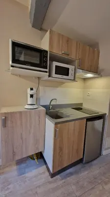 Cuisine ou kitchenette dans l'établissement Le petit quai # Studio # site historique
