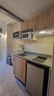 Cuisine ou kitchenette dans l'établissement Le petit quai # Studio # site historique