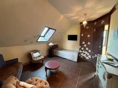 Télévision ou salle de divertissement dans l'établissement Entre vignes et Châteaux, Zoo de Beauval, Piscine, WIFI, 4 chambres, 7 lits, 4 sdb