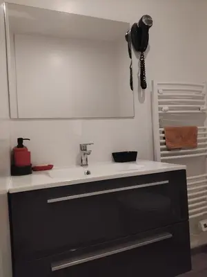 Cuisine ou kitchenette dans l'établissement Petite maison en cœur de ville