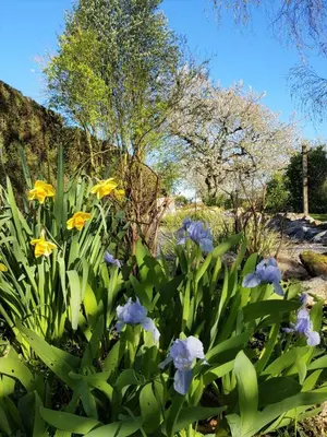 Jardin de l'établissement Chambres D'hôtes Anne-Marie