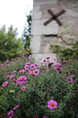 Jardin de l'établissement Peter House between Amboise and Chaumont-sur-Loire