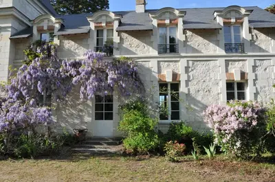 Jardin de l'établissement Gite LE BALCON