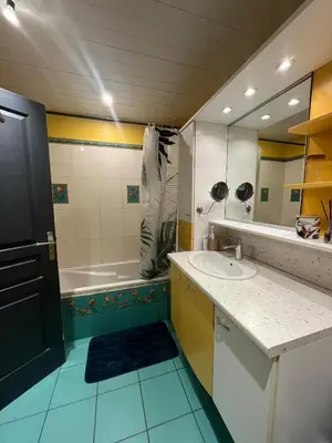 Salle de bains dans l'établissement Maison proche circuit 24h Le Mans