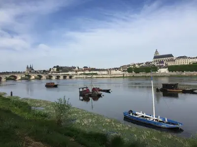 Vue sur la rivière ou le fleuve situé(e) à proximité de l'appartement