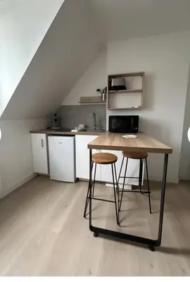 Cuisine ou kitchenette dans l'établissement Small cocoon in Tours - 2 min de la gare de Tours