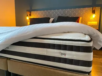 Un ou plusieurs lits dans un hébergement de l'établissement Le bois Dormant By Saumur Signature