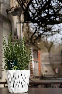 Plan de l'établissement Le clos aux roses