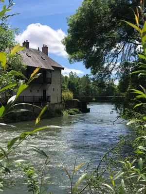Vue sur la rivière ou le fleuve situé(e) à proximité de le B&B/chambre d'hôtes